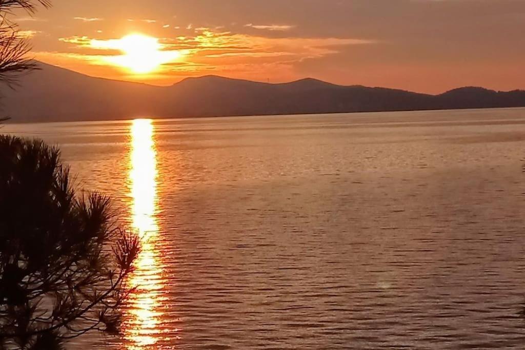 Zadar Center Beach Apartment - Directly On The Sea エクステリア 写真